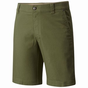 Columbia Pantalones Cortos Flex ROC™ Hombre Verdes (042DRESGW)